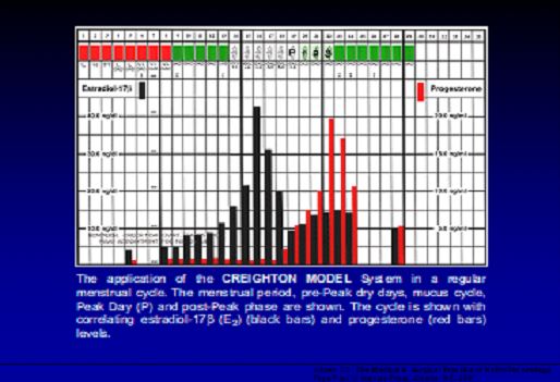 chart cycles